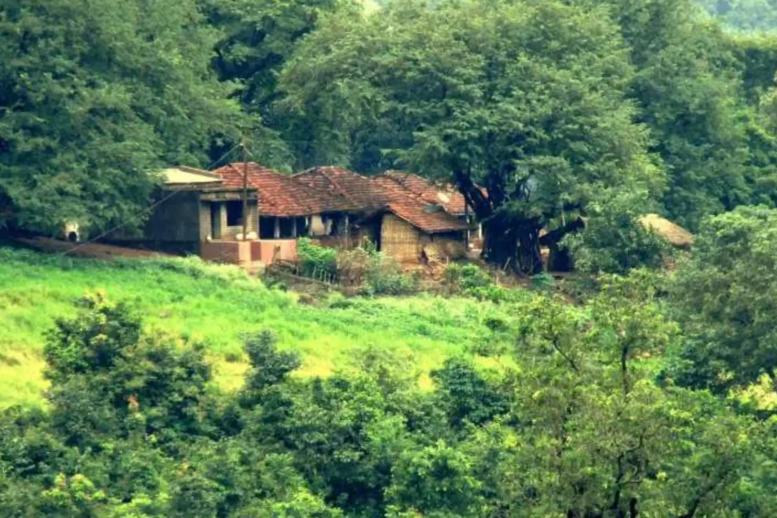 Rural village scene